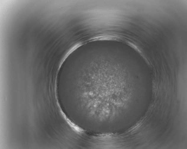 X0000060791426200511141432