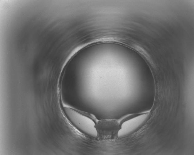 X0000060791428200511141432