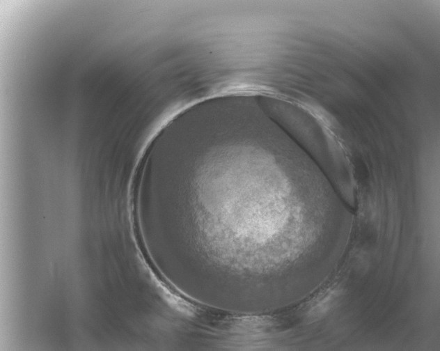 X0000060791430200511141432