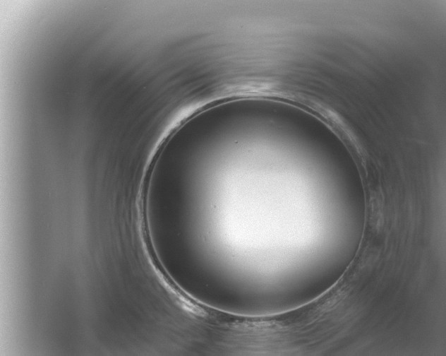 X0000060791432200511141432