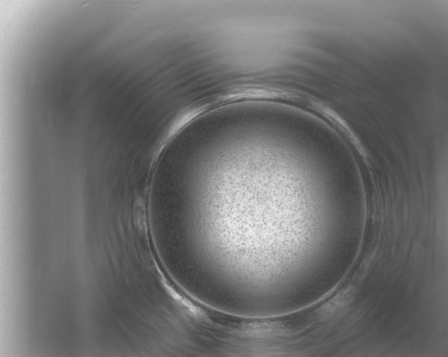 X0000060791433200511141432