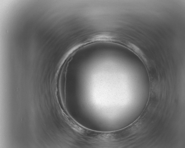 X0000060791435200511141432