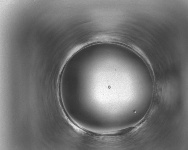 X0000060791437200511141432