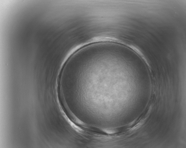 X0000060791438200511141432