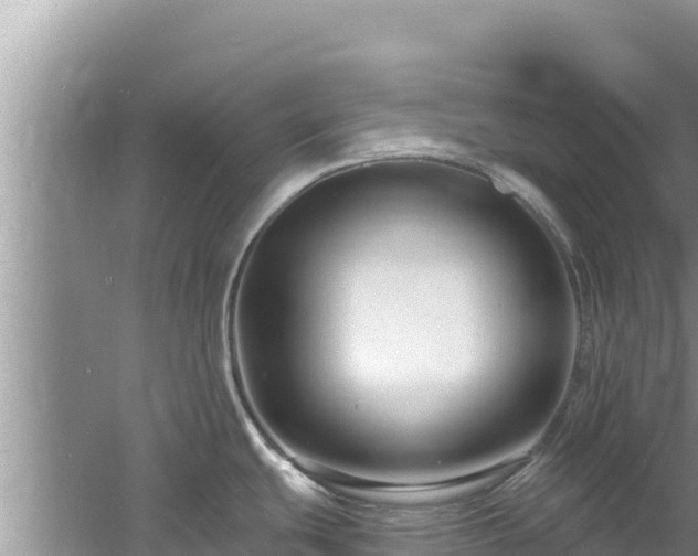 X0000060791439200511141432