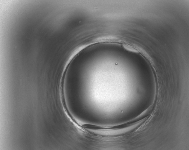 X0000060791440200511141432