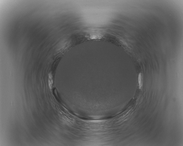 X0000060791443200511141431