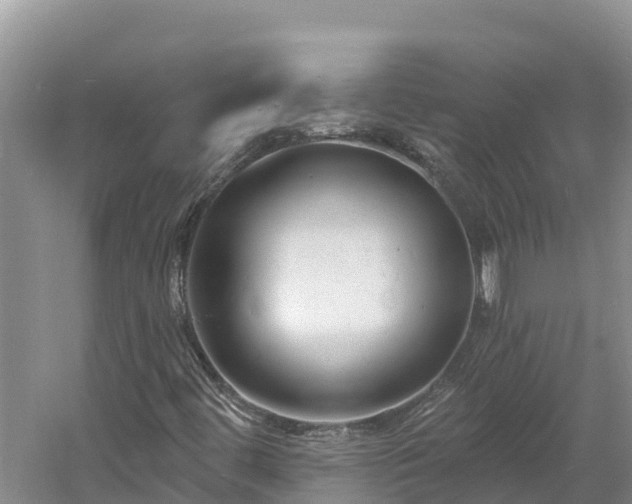 X0000060791444200511141431