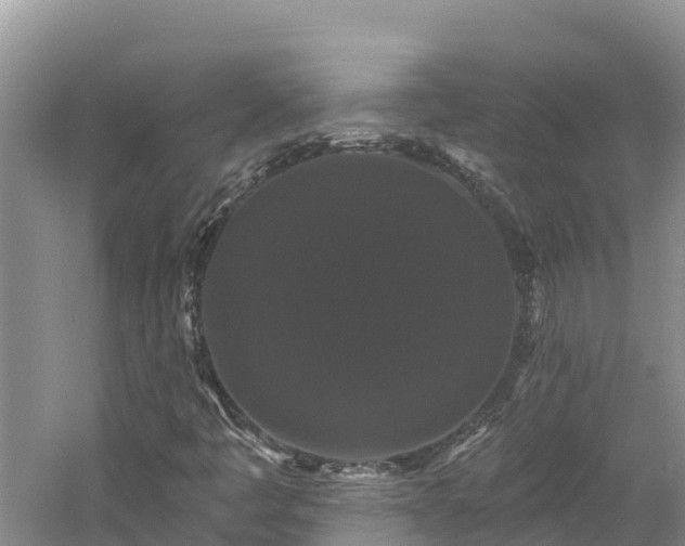 X0000060791445200511141431