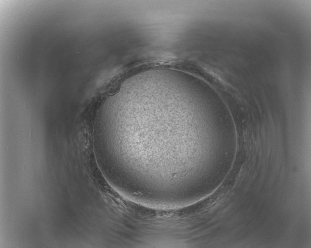 X0000060791447200511141431