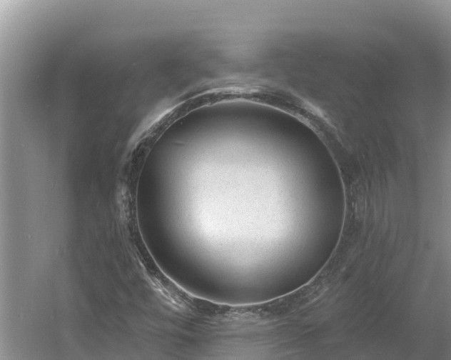 X0000060791448200511141431