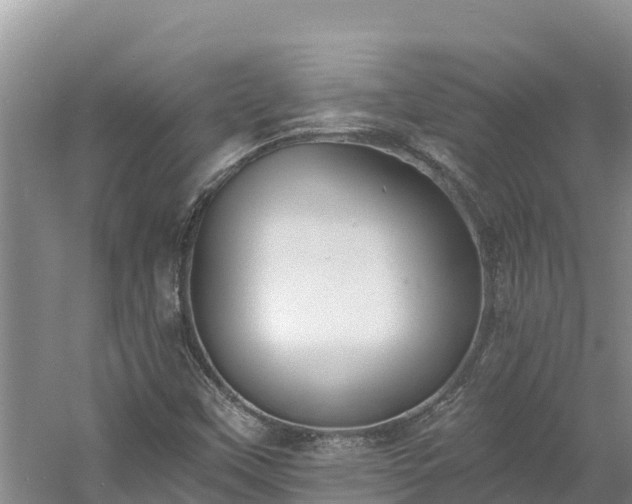 X0000060791451200511141431