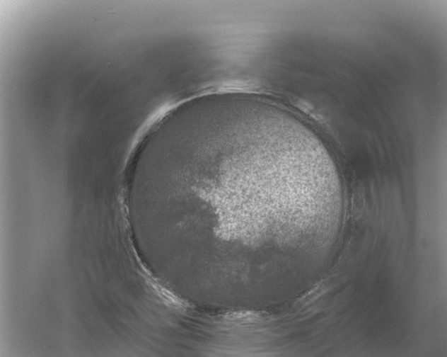 X0000060791454200511141431