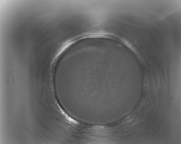 X0000060791456200511141431