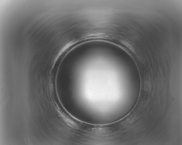 X0000060791458200511141431