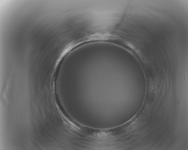 X0000060791459200511141431