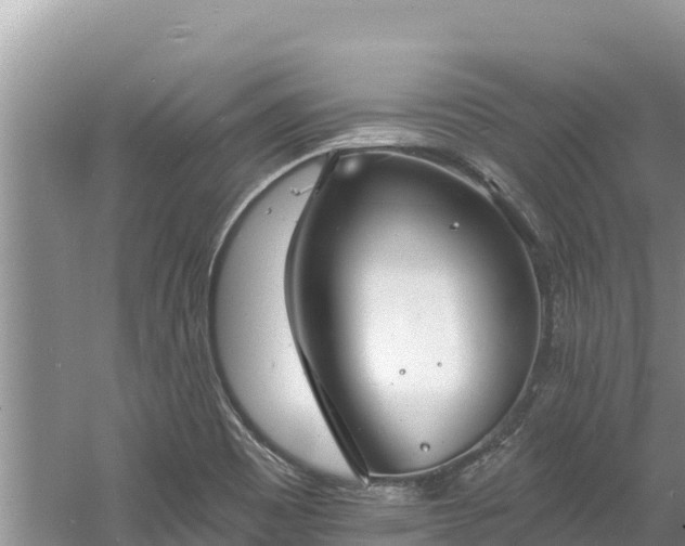 X0000060791465200511141431