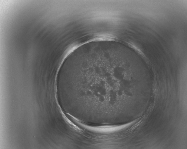 X0000060791471200511141430