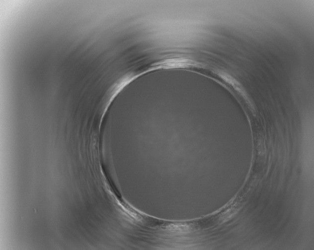 X0000060791473200511141430