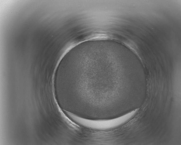 X0000060791475200511141430