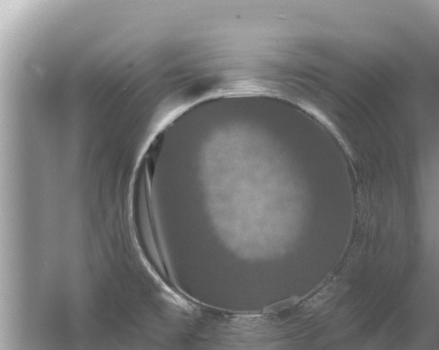 X0000060791477200511141430