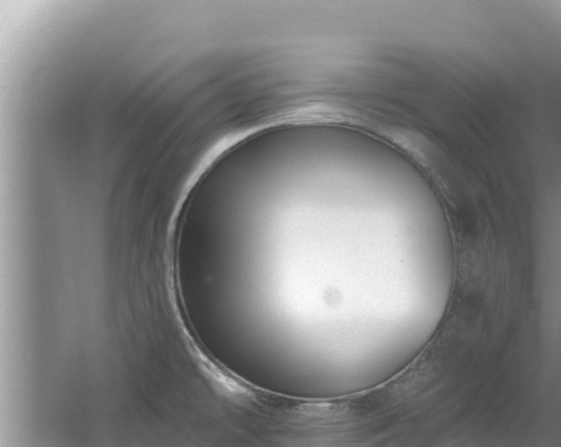 X0000060791478200511141430