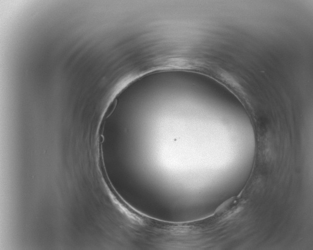 X0000060791479200511141430