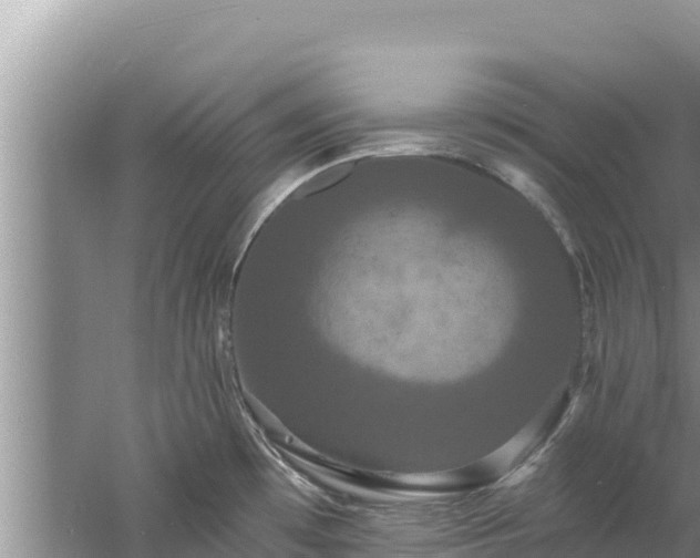 X0000060791481200511141430