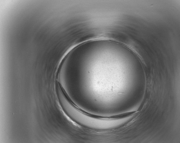 X0000060791484200511141430