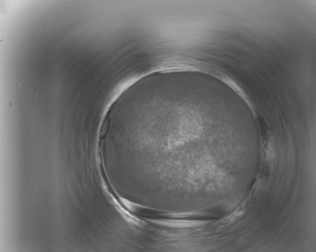 X0000060791485200511141430