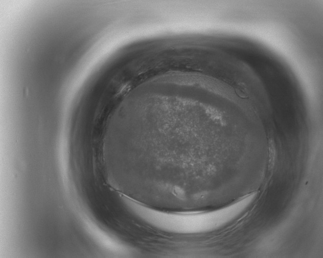 X0000060791487200511141430