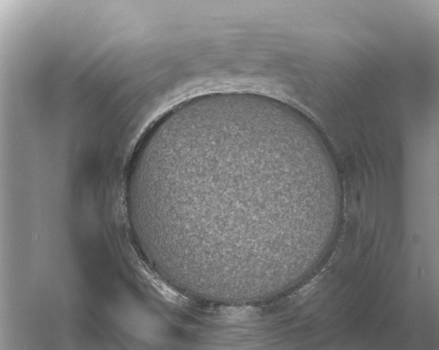 X0000060791498200511141430