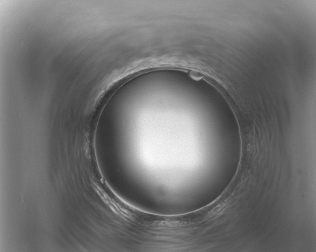 X0000060791499200511141430