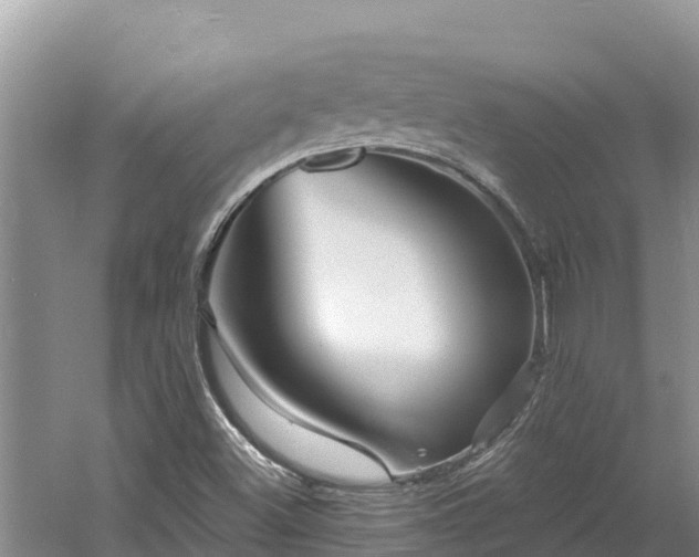 X0000060791500200511141430