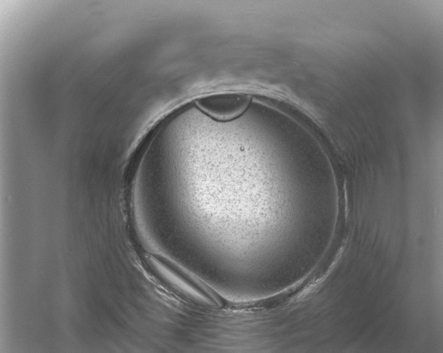 X0000060791501200511141430