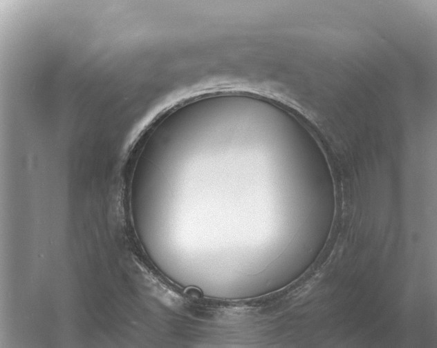 X0000060791502200511141430