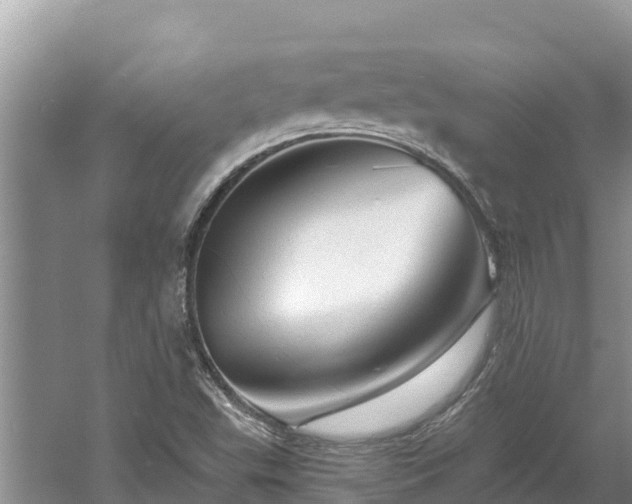 X0000060791503200511141430