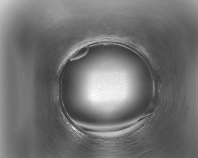 X0000060791504200511141430