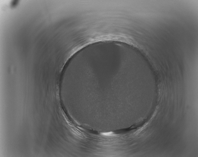 X0000060791505200511141430