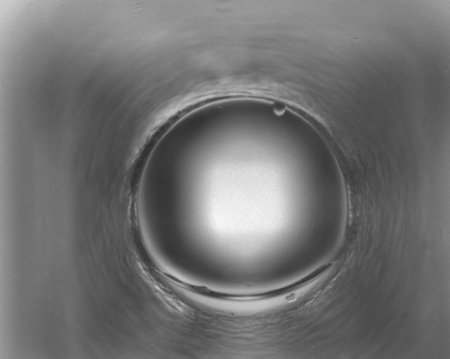 X0000060791507200511141430