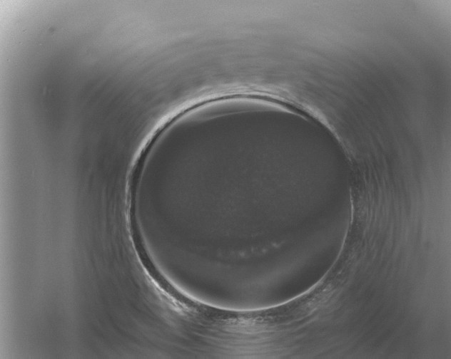 X0000060791508200511141430