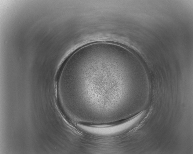 X0000060791509200511141430