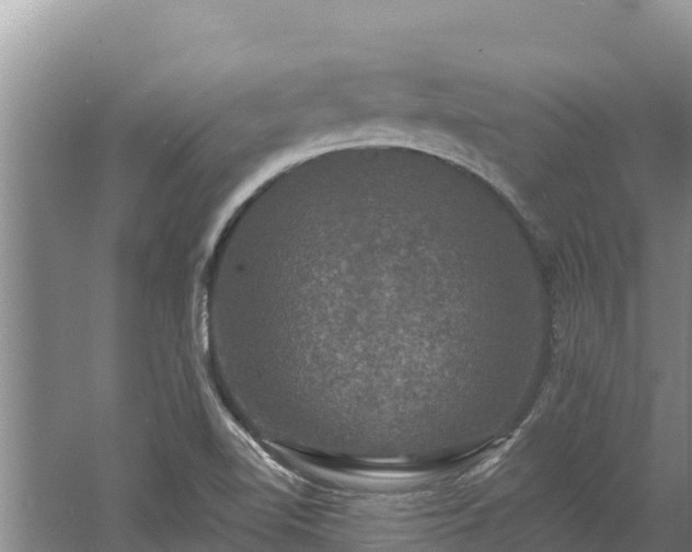 X0000060791510200511141430