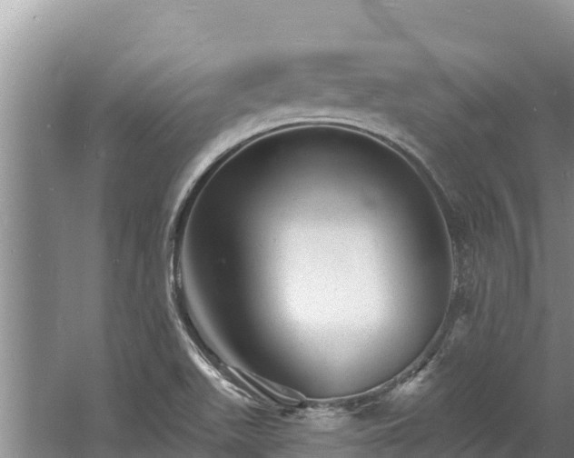 X0000060791511200511141430