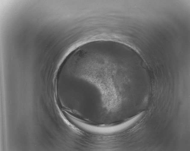 X0000060791515200511141430