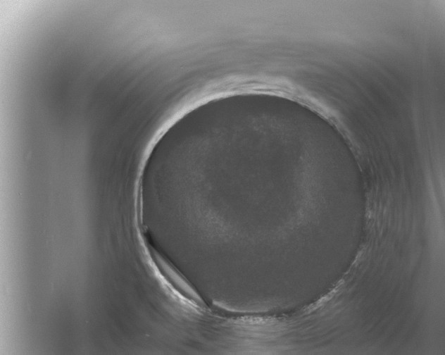 X0000060791520200511141430