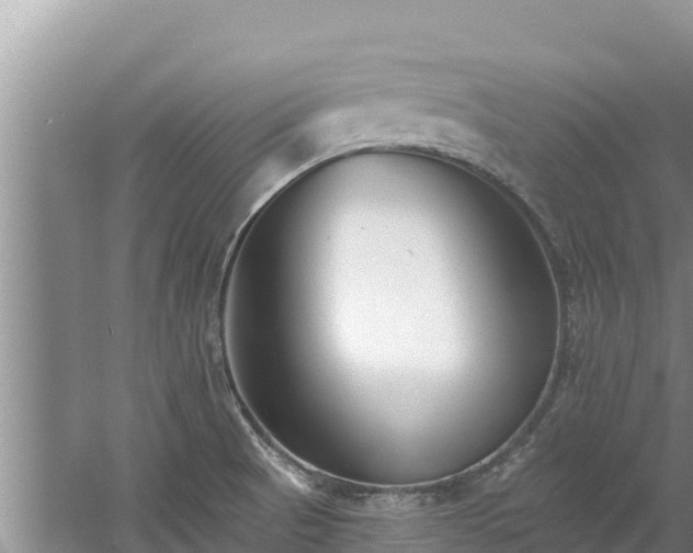 X0000060791521200511141430