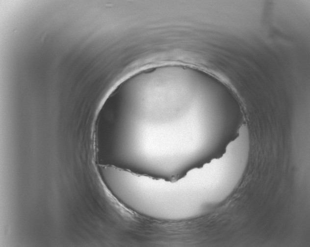 X0000060791524200511141430