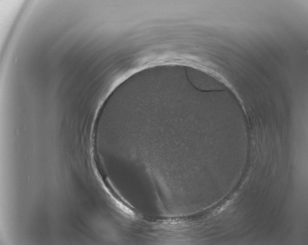 X0000060791525200511141430