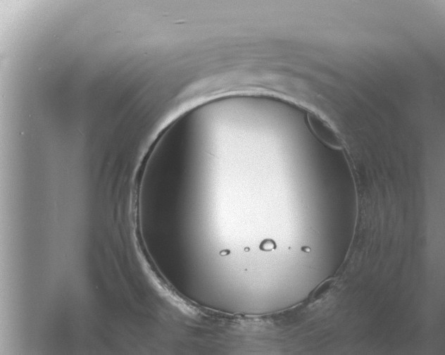 X0000060791526200511141430